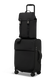 Lipault Lost In Berlin Mini Exile Backpack  Noir Lipault Lost In Berlin Mini Exile Backpack  Noir