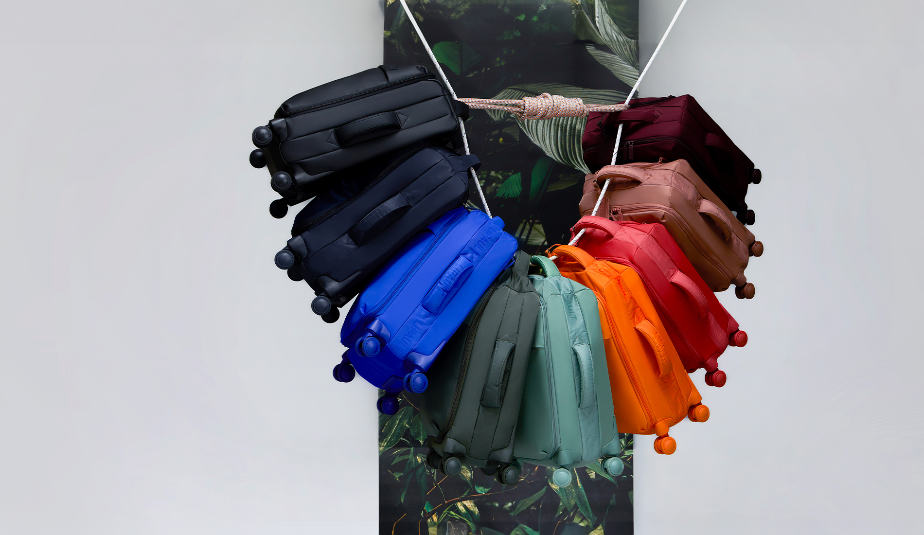 Collection Plume